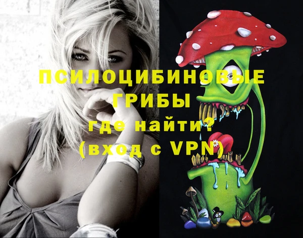 дурь Балахна