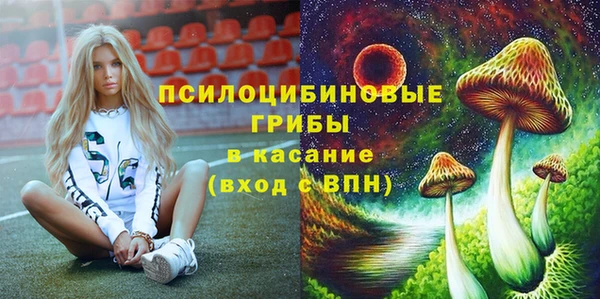 дурь Балахна