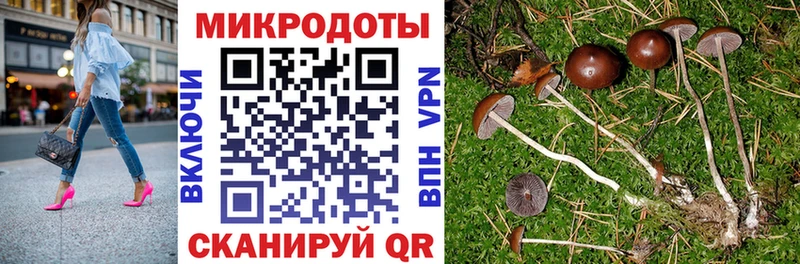 Галлюциногенные грибы GOLDEN TEACHER цена Краснознаменск